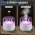 Jellyfish Aroma Diffuser & Humidifier with LED Light