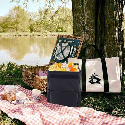 Multi-Use Car Box with Lid