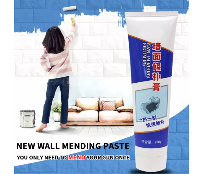 Wall Repair Cream 250g